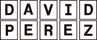 cropped-davidperez300-1.png