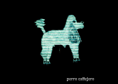 Perro Callejero