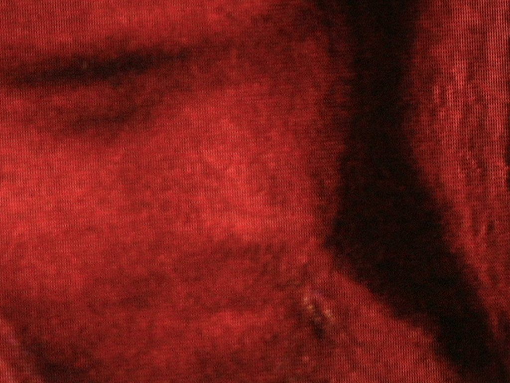 Sin Señal — David Pérez · 40/44